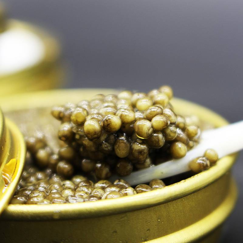 Caviar del Tibet Oscietra 250 gr