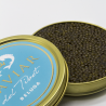 Caviar del Tibet Beluga 100 gr