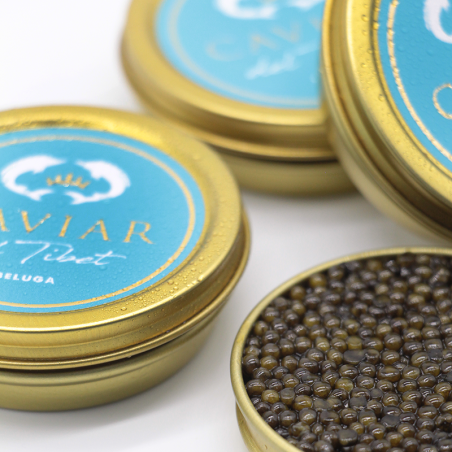 Beluga caviar del tibet 250 g