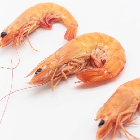 Langostino BIO