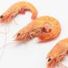 Langostino BIO