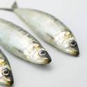 Sardinha