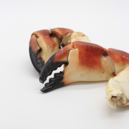 Boiled brown crab claws