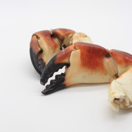 Boiled Brown Crab Claws