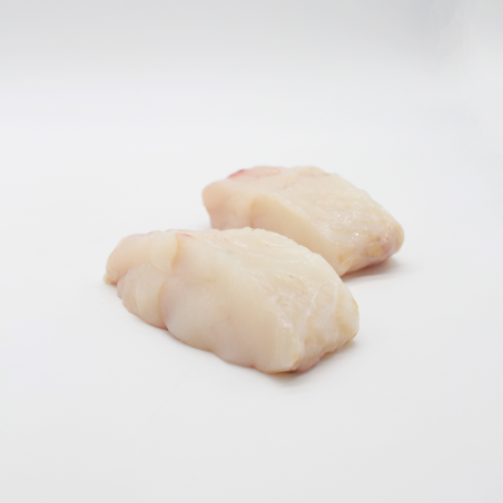 Pescada, Tamboril e Robalo