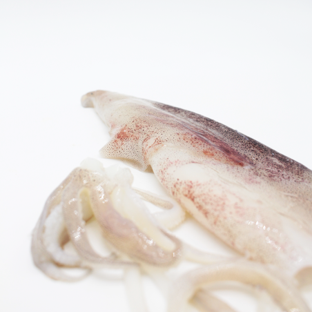 Hake and Squid (+ squid ink)