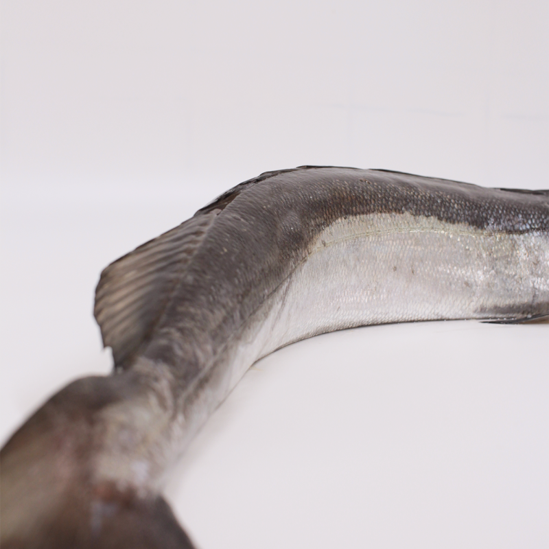 Buy hake online (3Kg) Fresh fish home delivery