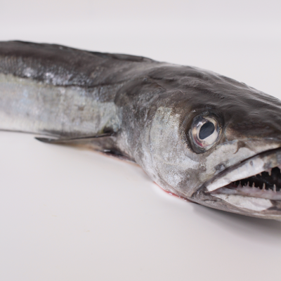 Hook-fished hake 3 kg