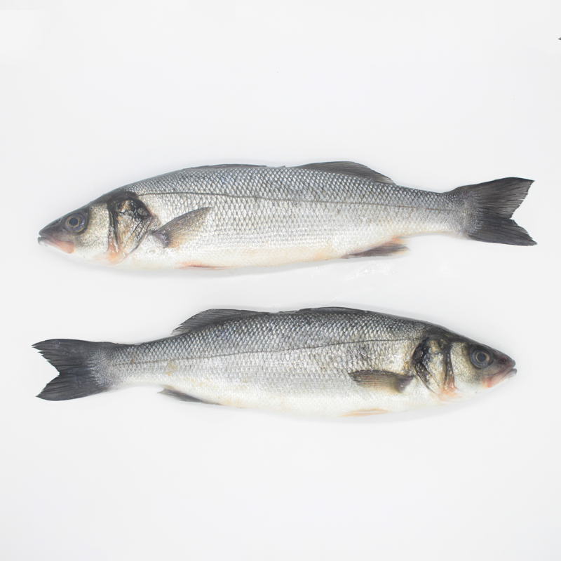 Buy farmed seabass online - Fresh fish home delivery