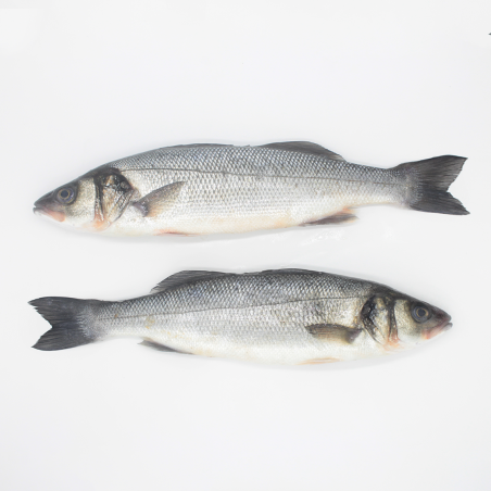 Farmed sea bass