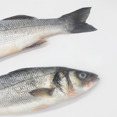 Farmed sea bass