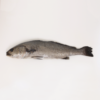 copy of Wild sea bass 1 kg