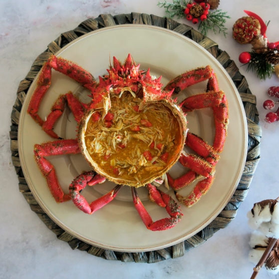 Galician spider crab in its natural state