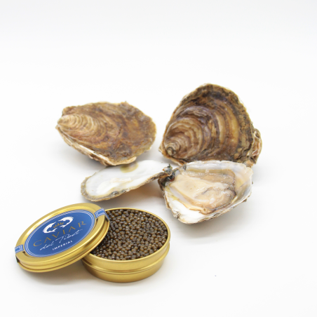 Caviar and Oysters