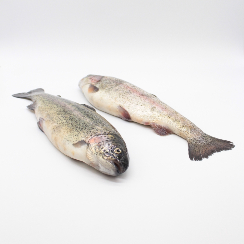 Buy Trout online Fresh fish home delivery
