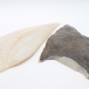Large wild turbot