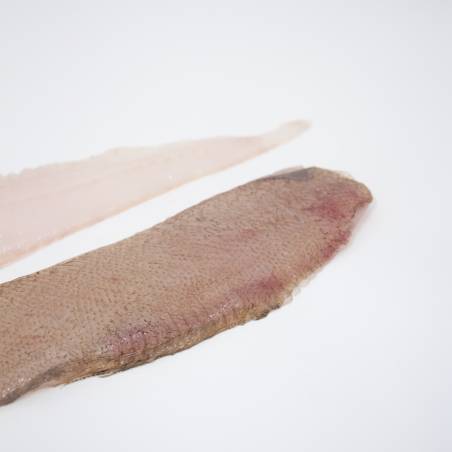 Peixe galo grande