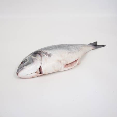 Dorada Salvaje
