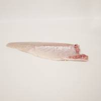 Wild sea bass 1.5 kg