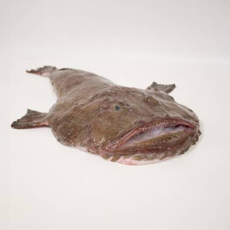 Black-bellied monkfish tail