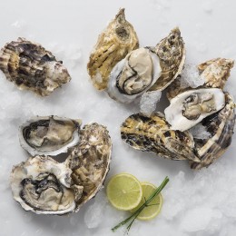 Pacific oyster