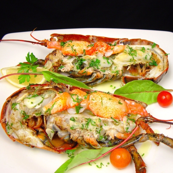 Grilled clawed lobster with japanese yuzu