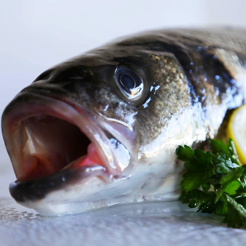 Wild European Seabass 3kg