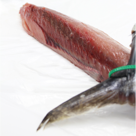 White Tuna Loin (Bonito del Norte)