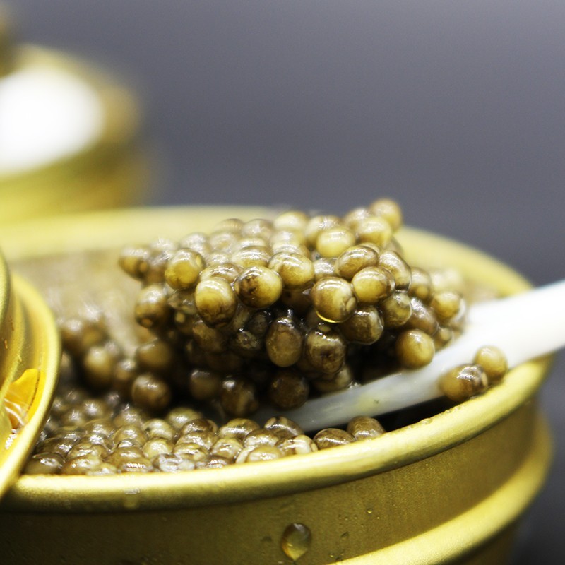 Caviar del Tibet Oscietra 100 gr