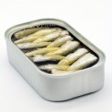 Sardines in olive oil 25/35