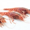 Moray Prawn