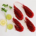 Scarlet prawns