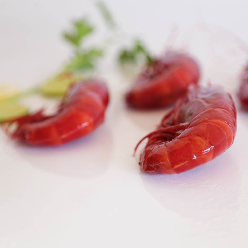 Buy Carabinero Scarlet prawn Fresh seafood home delivery