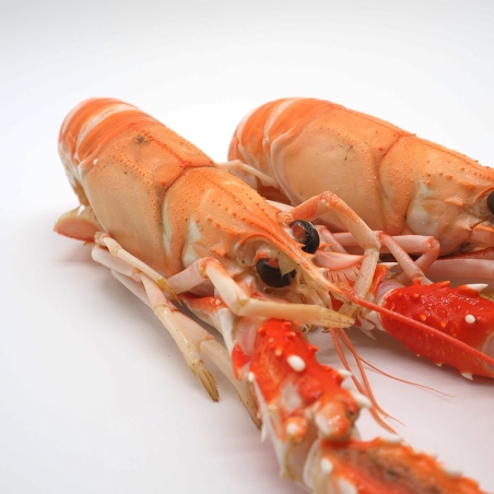 Langoustines