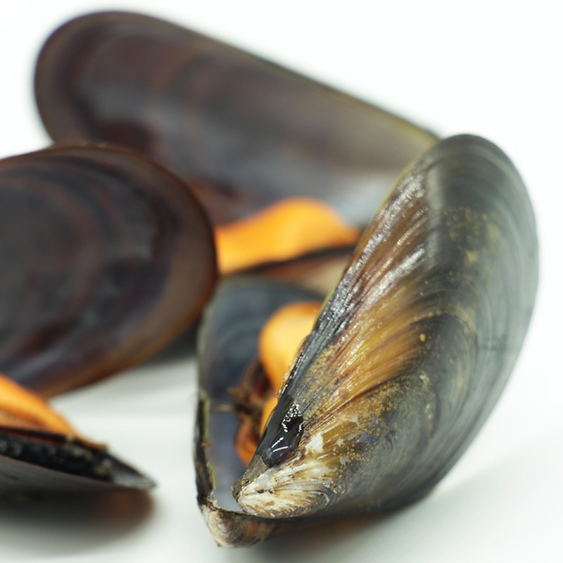 Buy fresh mussels online Galician shellfish home delivery