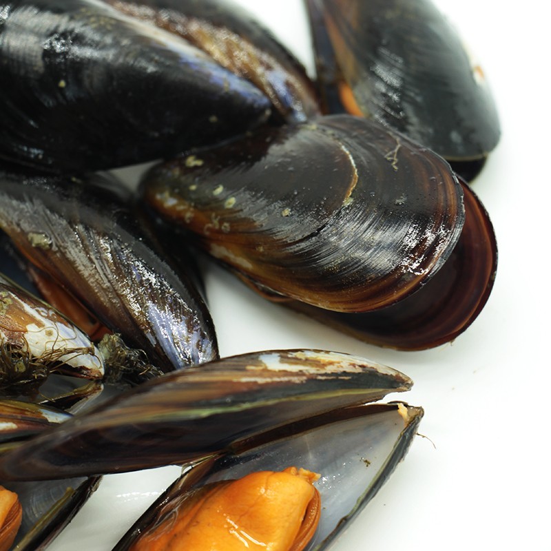 Buy fresh mussels online Galician shellfish home delivery