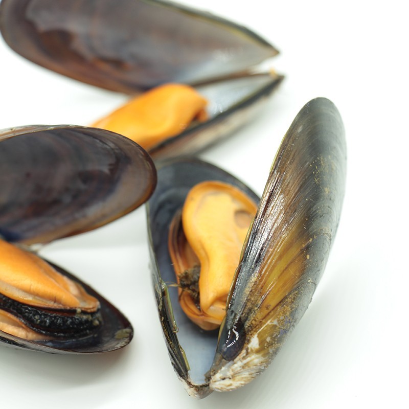 Buy fresh mussels online Galician shellfish home delivery