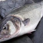 ¿Cómo sabemos si un pescado está fresco?