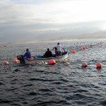 La almadraba, arte de pesca ancestral