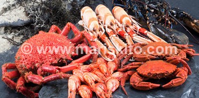 Ventajas de comprar pescado y marisco online