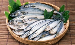 sardinas-nutritivas