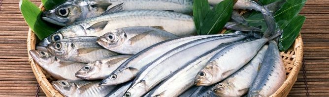 Las sardinas: ricas, sabrosas y nutritivas