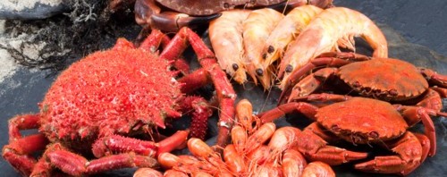 Mariscada, una opción para el Día del Padre