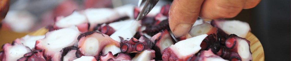 Pulpo gallego, sus propiedades nutritivas y recetas