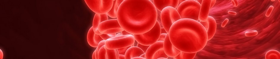Alimentos favorables para tratar la anemia