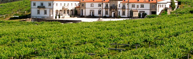 Tres rutas enológicas en Galicia