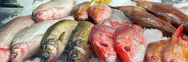 Beneficios del aumento de pescado en nuestra dieta