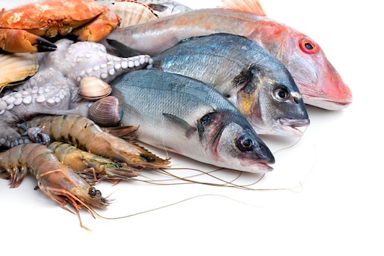 concierto Estoy orgulloso Retrato Consejos para comprar pescado frescoel_blog_del_mar%