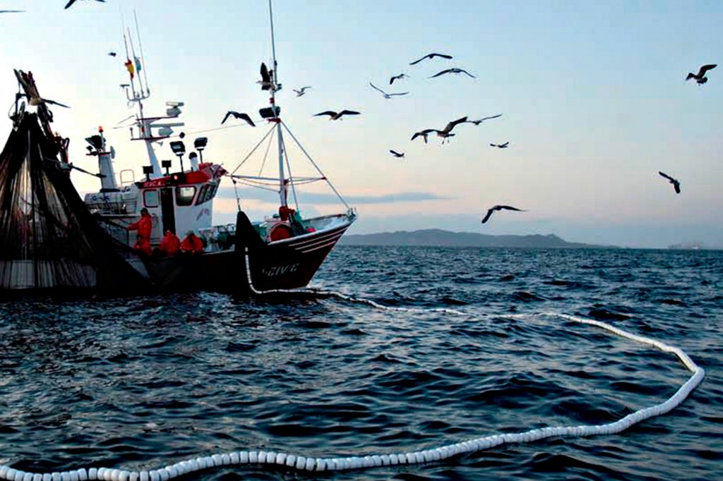 Galicia-exportación-productos-mar