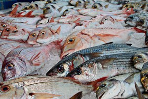 Las vitaminas y minerales de los pescados